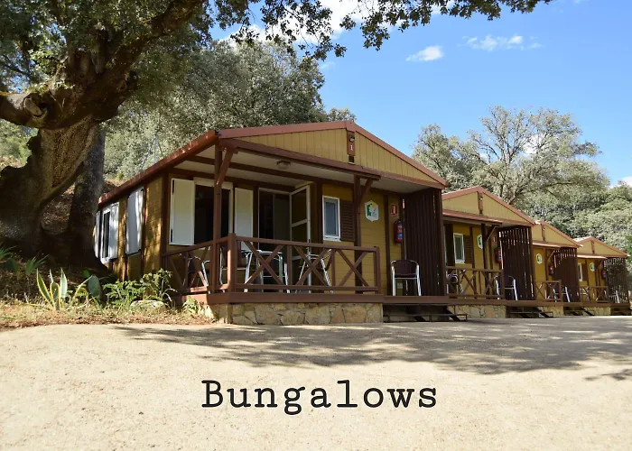 Bungalows, Camping Vega De Francia